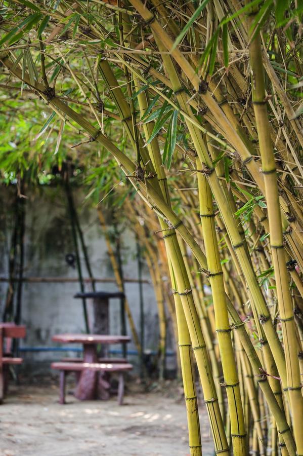The Loft Resort Bangkok Kültér fotó